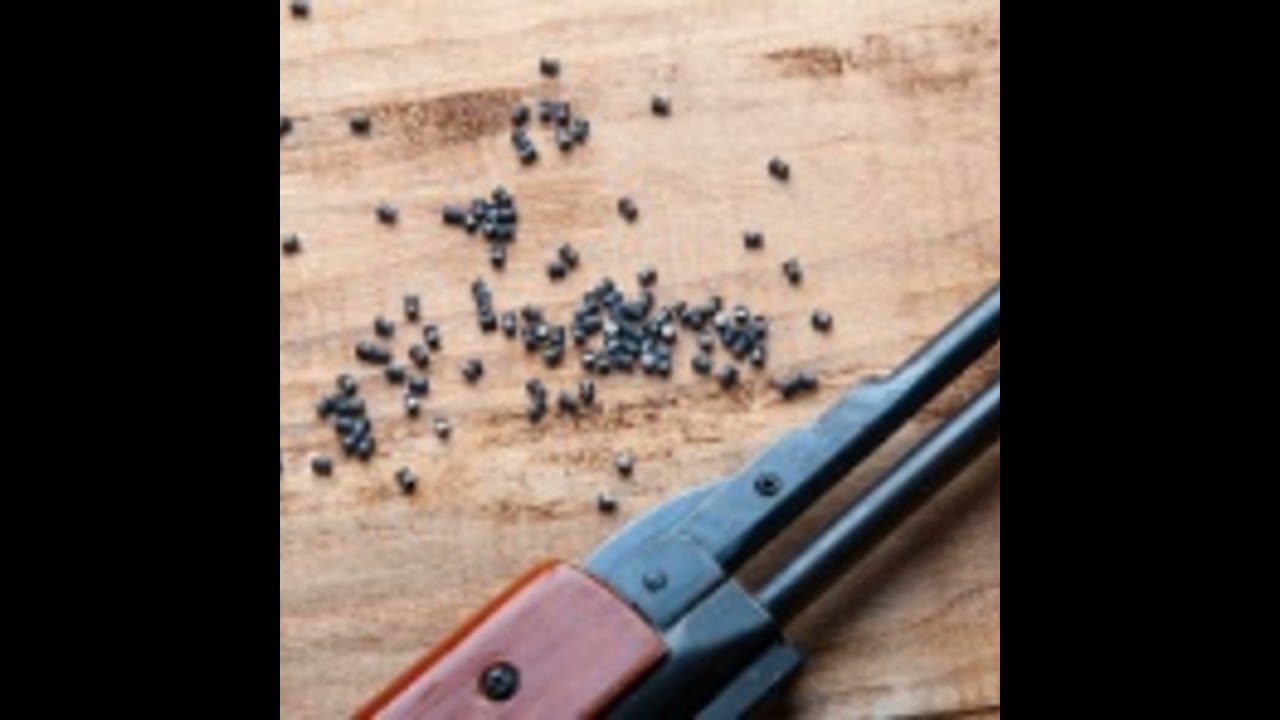 Here’s a warning to parents who let their kids play with pellet guns