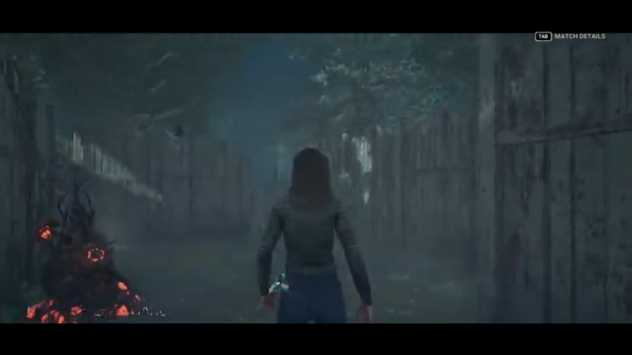 Dead by Daylight 2v8 I killer & survivor gameplay with steve III