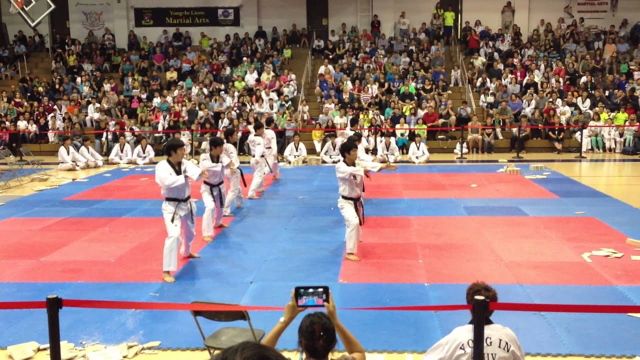 Yong In University Taekwondo Demonstration Team