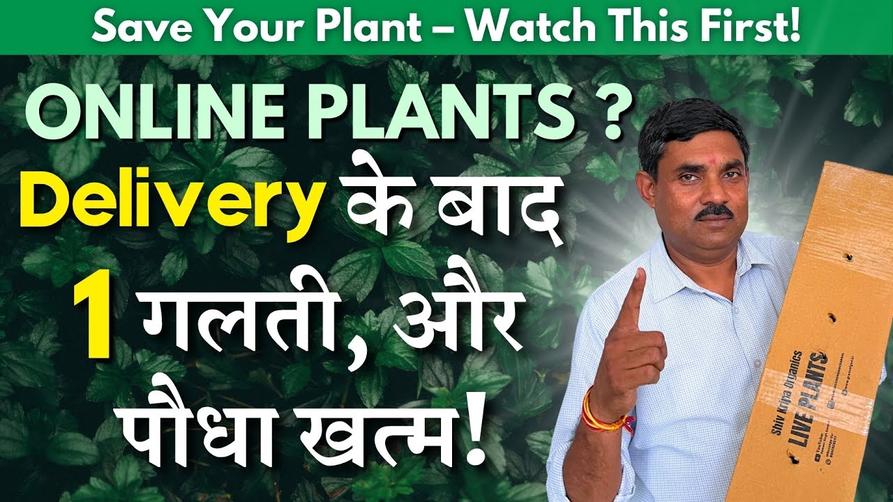 ONLINE PLANTS ? Delivery के बाद 1 गलती, और पौधा खत्म || Save Your Plant - Watch This First!