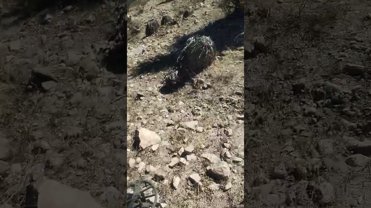 Estuvo muy difícil la bajada de la sierra 😜 x ese lado ya casi nadie pasa x ay para.la próxima 