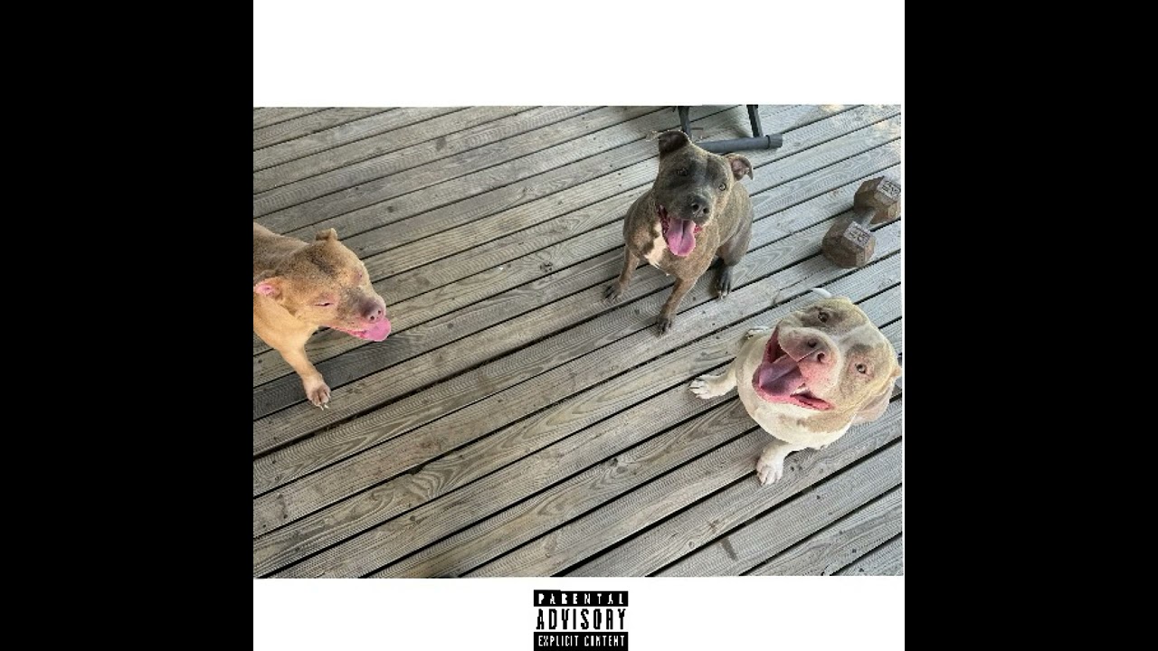 4 My Dawgs