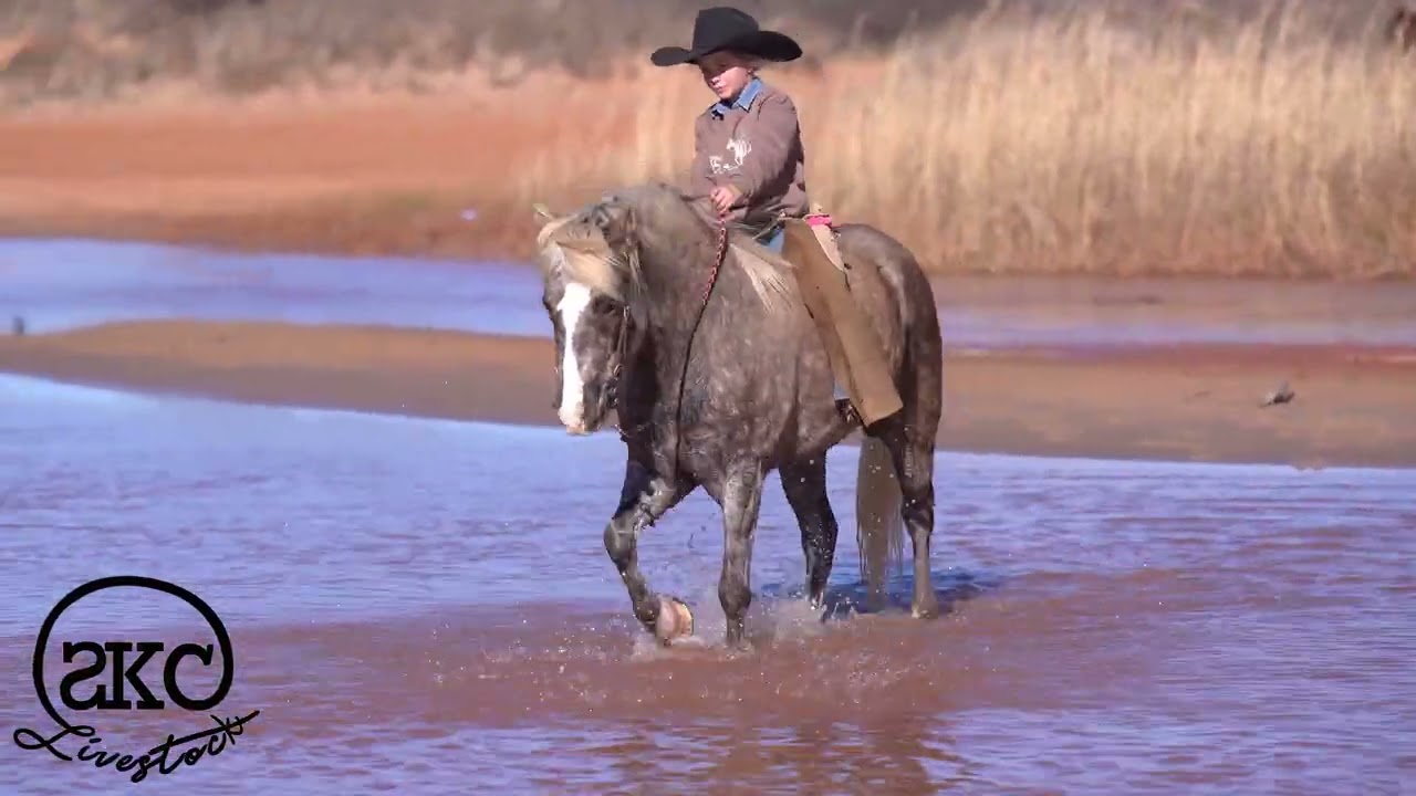 Pepsi selling on @horsebid.com