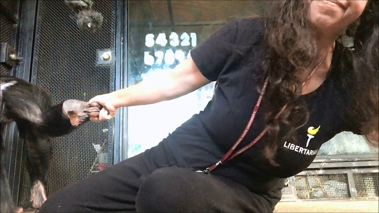 Exercising, Relaxing and Grooming with Bow
