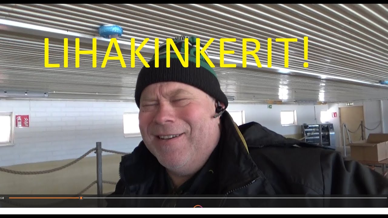 Pesolan Antin lihakinkerit ja hurja navetta-investointi