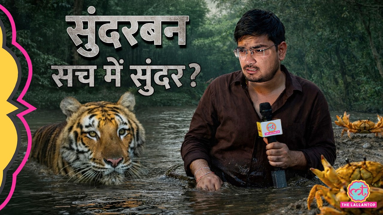 Sunderban की सुंदरता, Royal Bengal Tiger का डर, अपनों को खोने वाली Tiger Widows की कहानी
