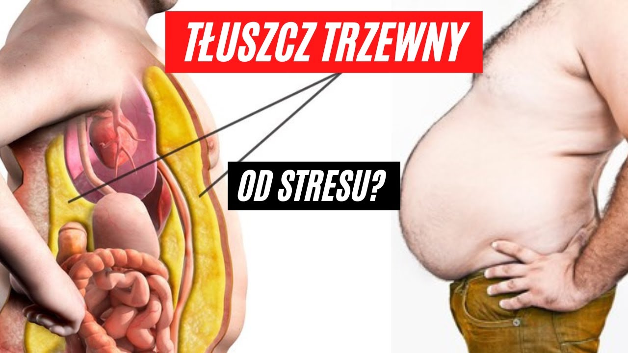 Kortyzolowy Brzuch I Tak STRES NISZCZY Twoje ZDROWIE