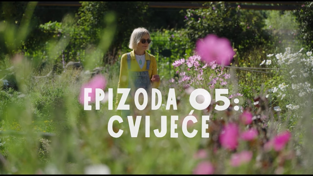 ANA KUHA, ZAGREB VOLI - EPIZODA 5: CVIJEĆE