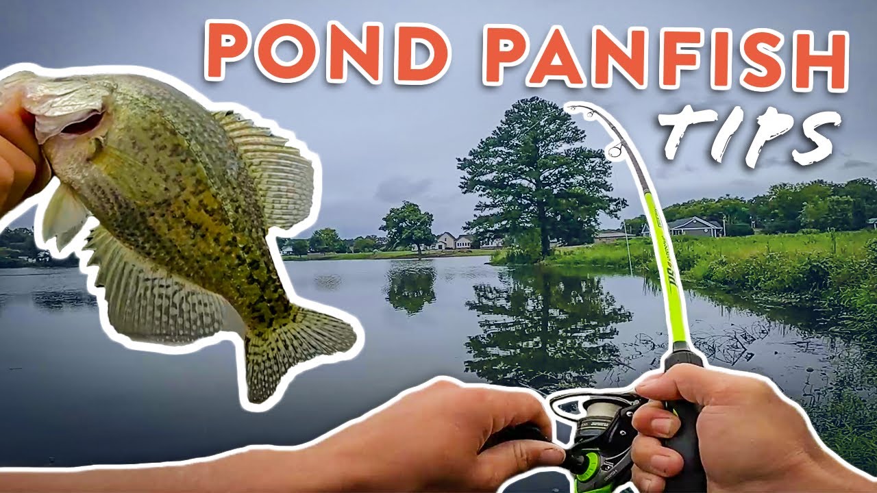 Pond Fishing Tips To Catch More Crappie, Bluegill, and More!