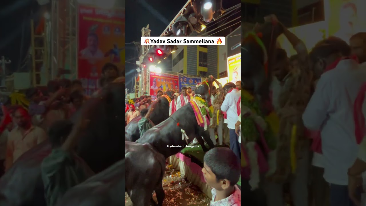 Yadava Sadar Sammellana At Karwan  Old City #sadarfestival #yadav #trending #viralshorts #ytshorts