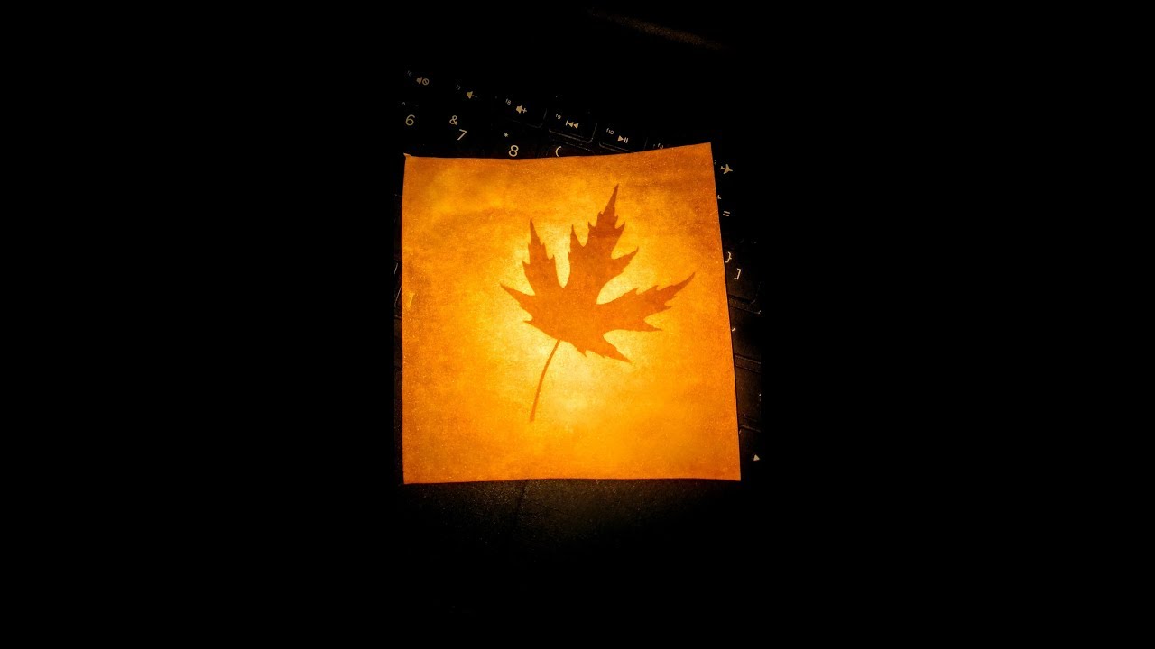 Kitchen Photographic Printing with Turmeric and Borax!  (Anthotype)