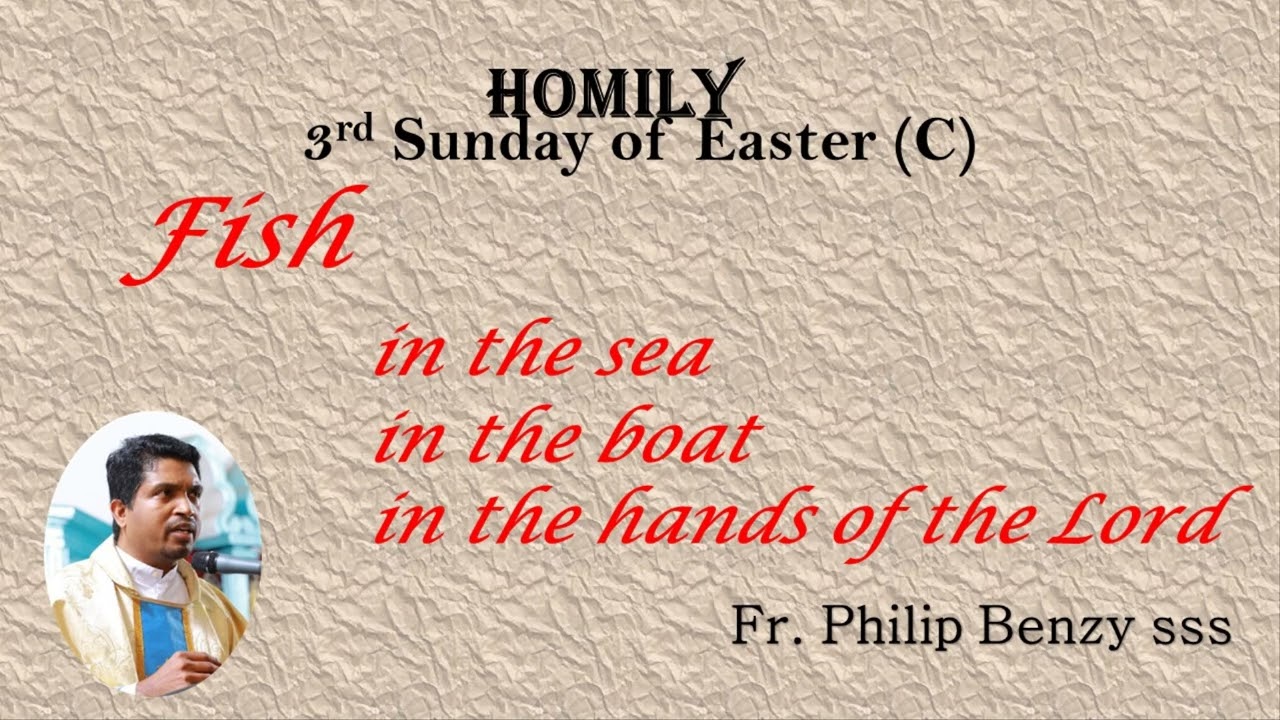 Homily for the Third Sunday of Easter (C)