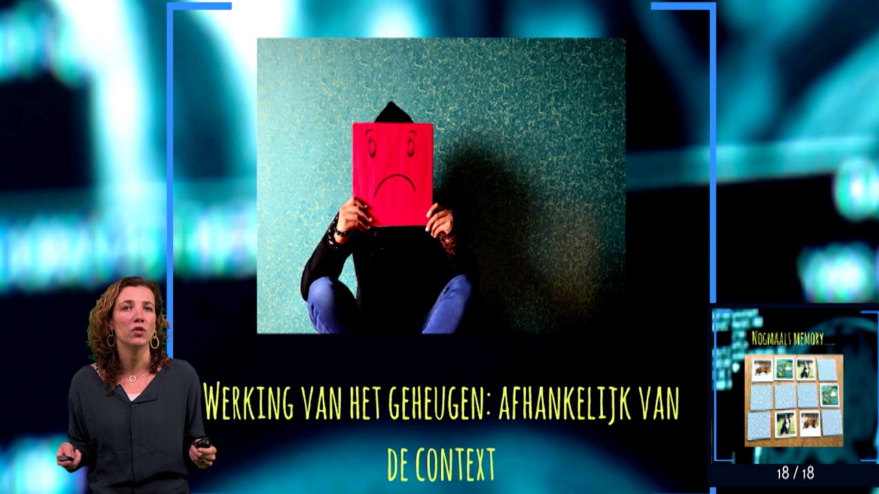 werking van het geheugen