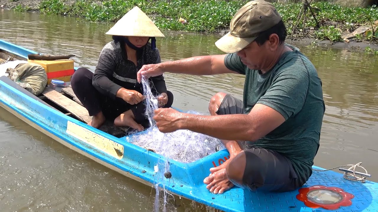 Giăng Lưới Trên Sông Vàm Cỏ Cá Dính Như Ao Nuôi Kinh Thật - Đời Sống Dân Dã