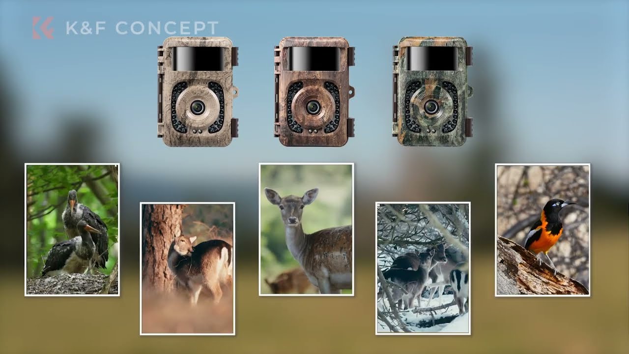 K&F Concept Cam&eacute;ra de Chasse 4K 32MP Cam&eacute;ra Animaux WiFi Bluetooth