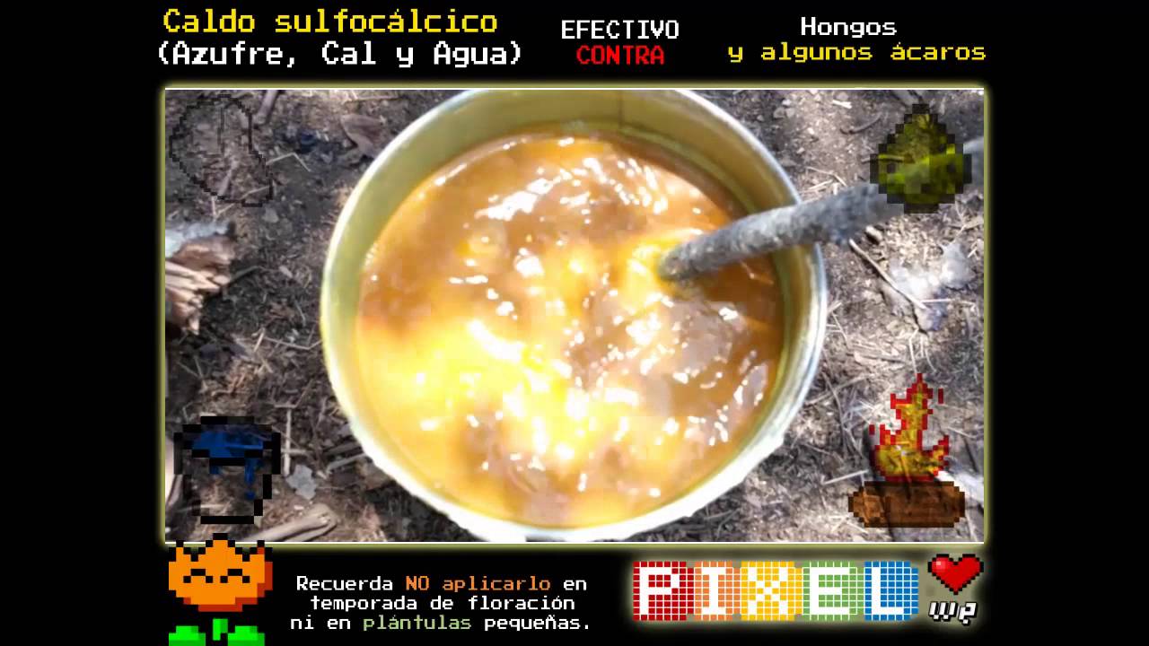 Caldo sulfocálcico paso a paso (usos, dosis y precauciones) HD