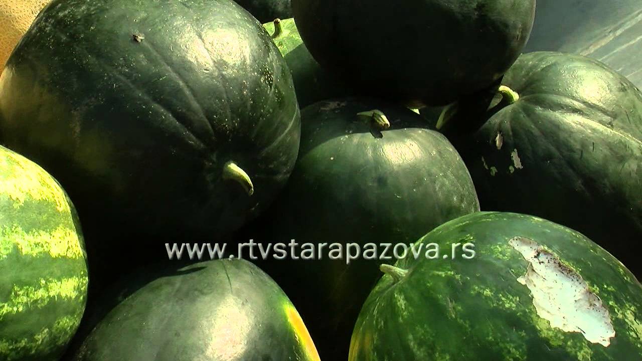 Barometar Stara Pazova