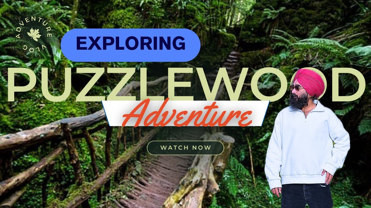 Exploring Puzzlewood in uk | Adventures Forest in uk | Starwars Movie shooting . #veg_wanderer 