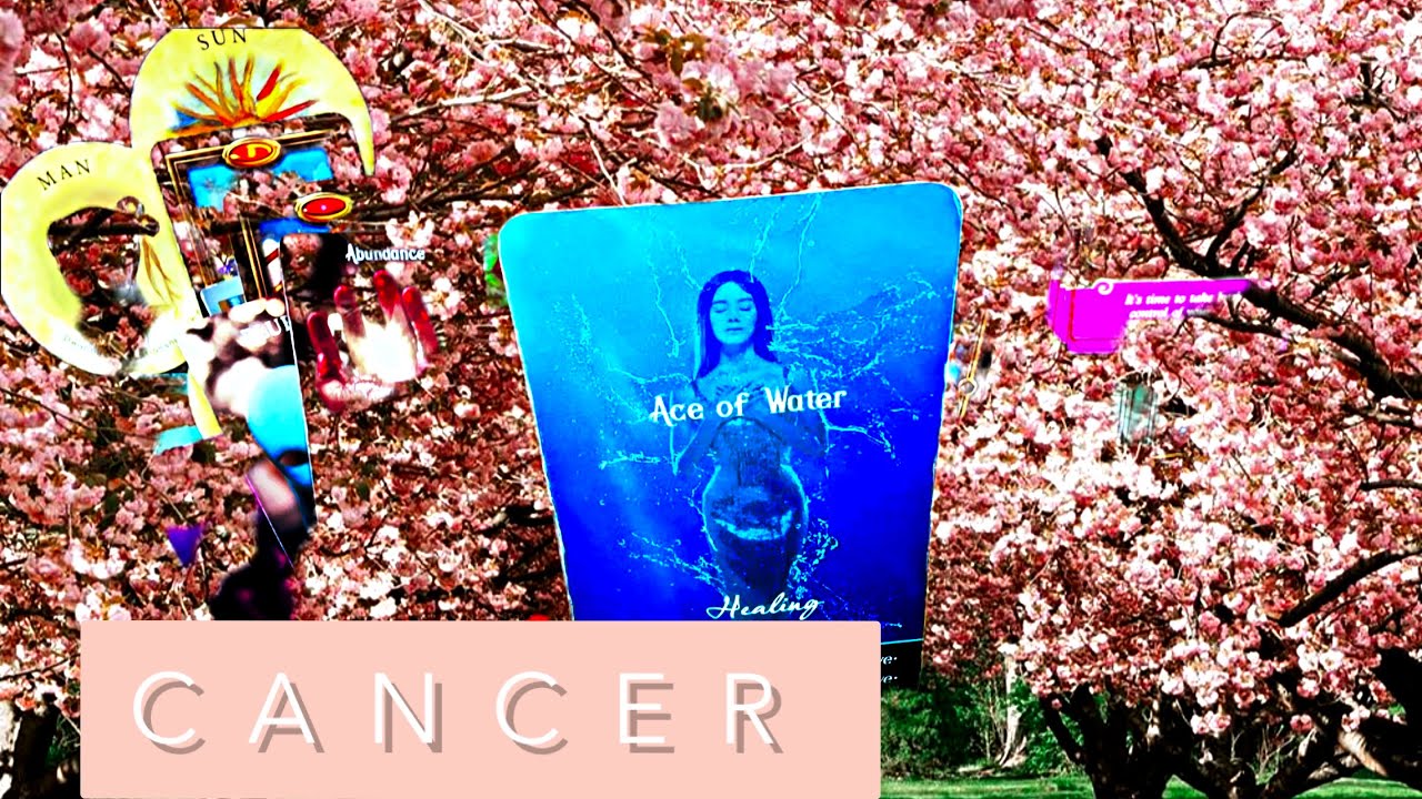 CANCER Saturn Retrograde🪐Shocking Revelation of Who You are🤯 Watching You in Complete Awe🫢 #222