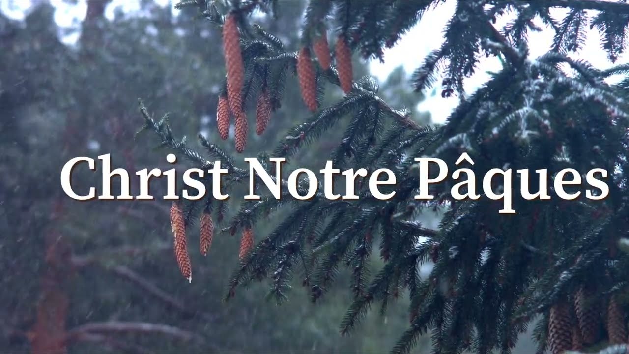 Christ Notre Pâques