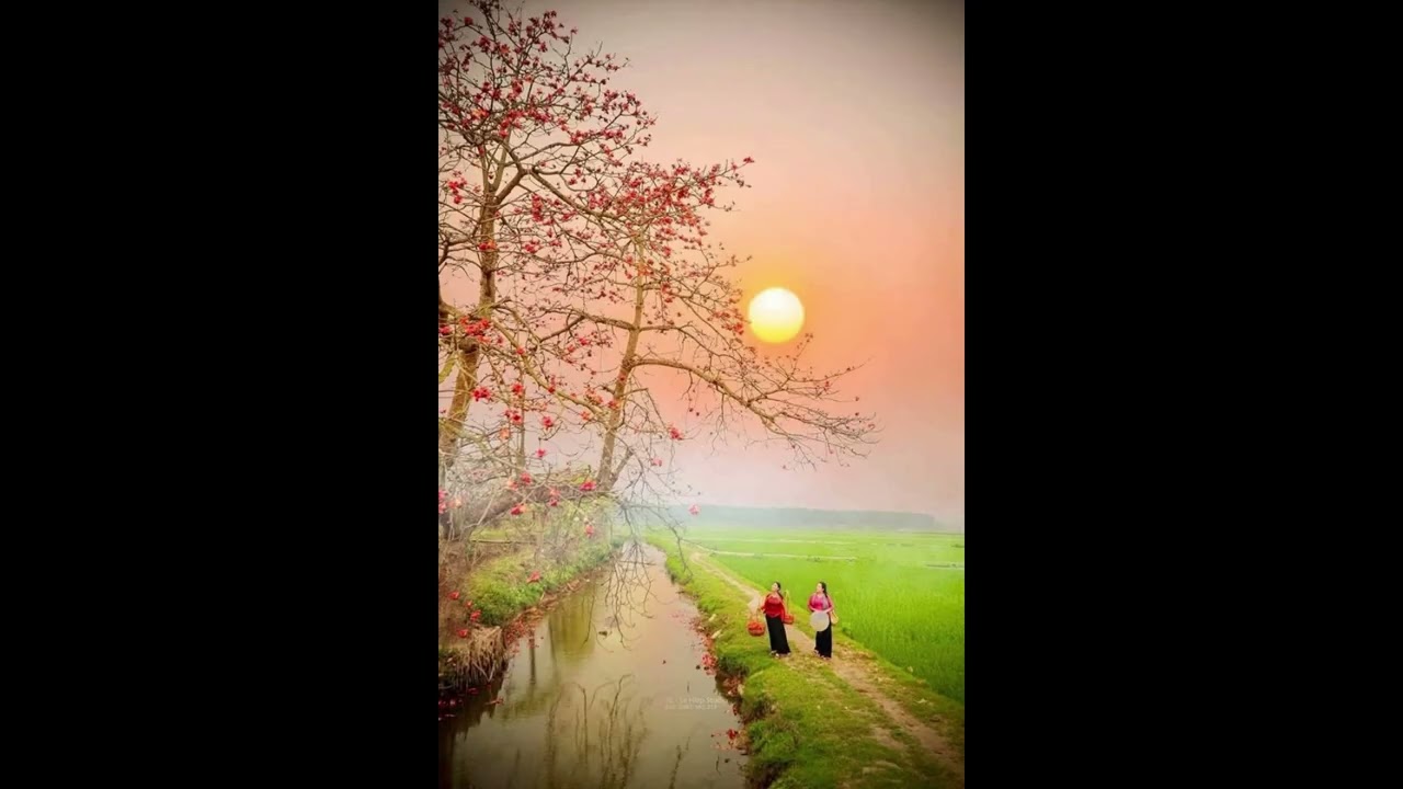 BÌNH MINH TRÊN ĐỒNG