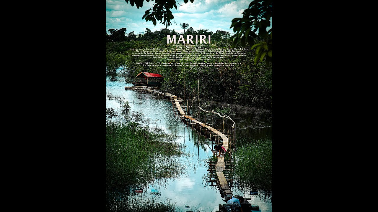 AYAHUASCA Y CHAMANES. (MARIRI)