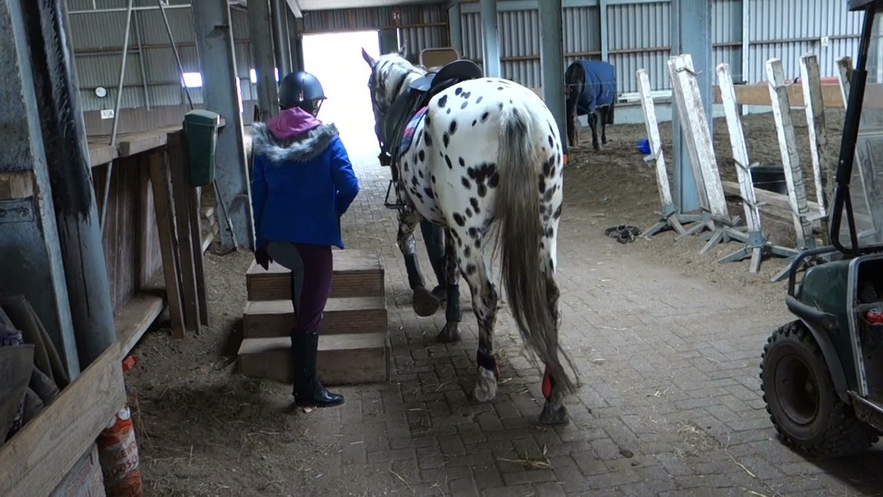 vlog #10 Buitenrit Stal Ermelo: Opstappen