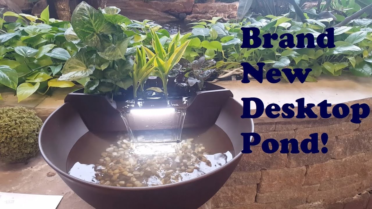 Aquascape's *BRAND NEW* Aquagarden Mini Pond Kit Unboxing
