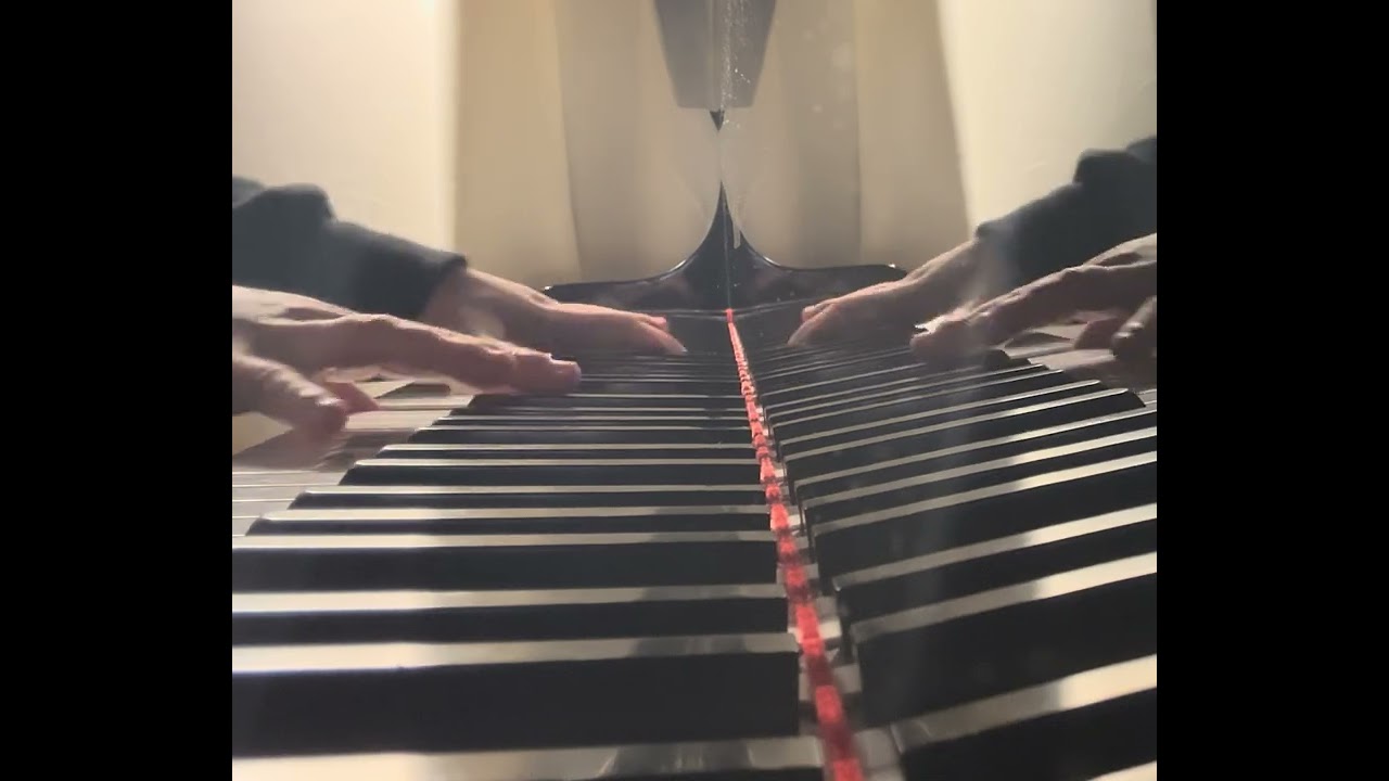 [독일가곡] R. Schumann - An meinem Herzen, an meiner Brust op.42 no.7 in D (피아노반주 • piano accompaniment)