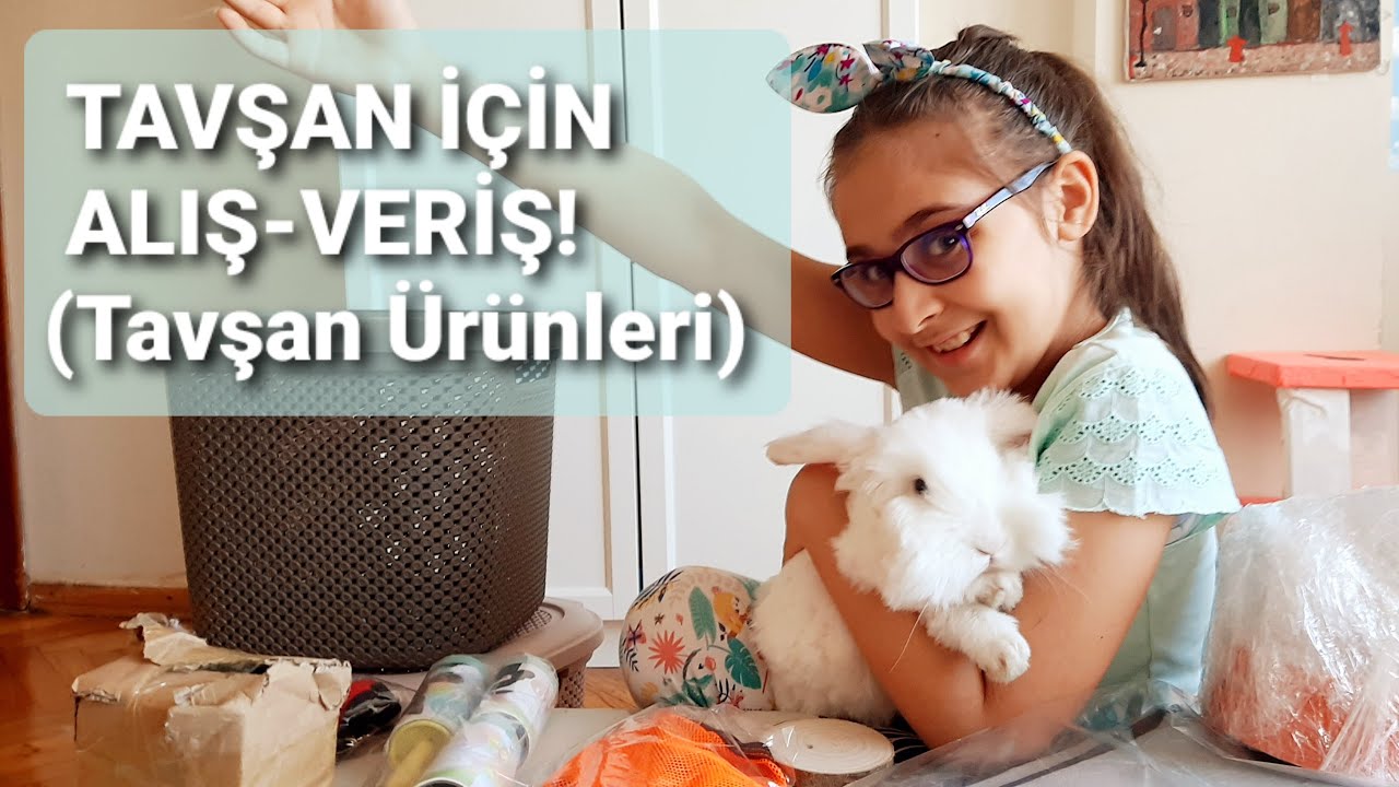 Tavşan Bıdık'a Alışveriş! (Tasma, Mama kabı, Oyun evi... ve Daha Fazlası...)