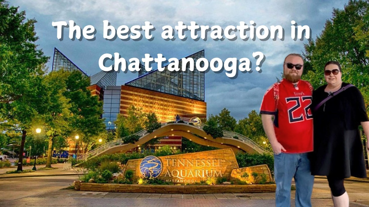 Tennessee Aquarium – The BEST Attraction in Chattanooga 2025?