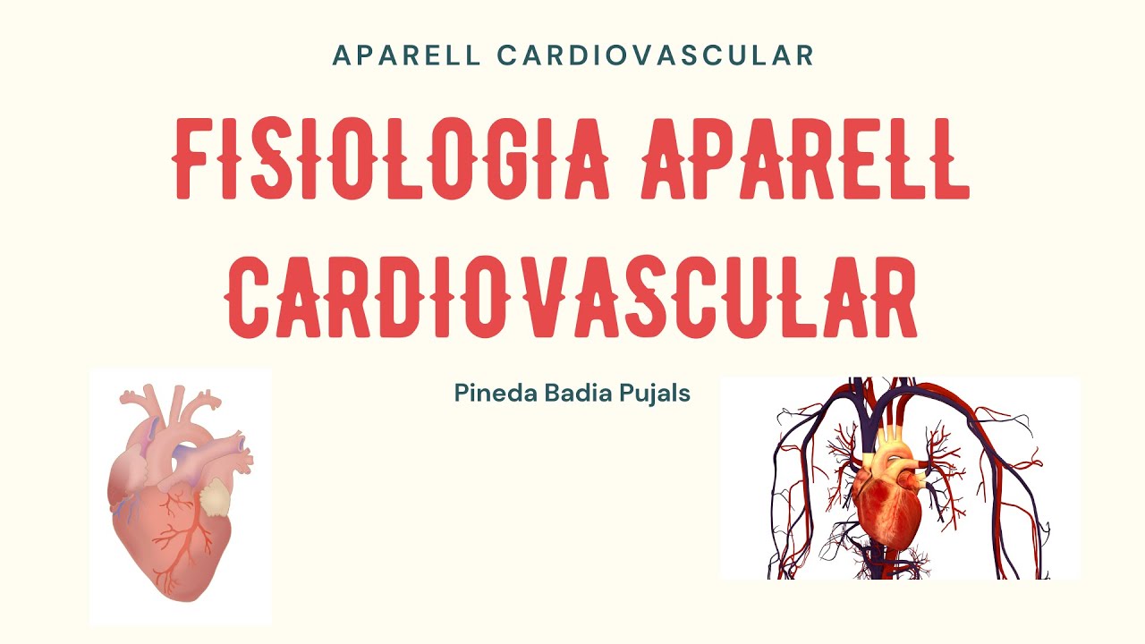 Fisiologia aparell cardiovascular