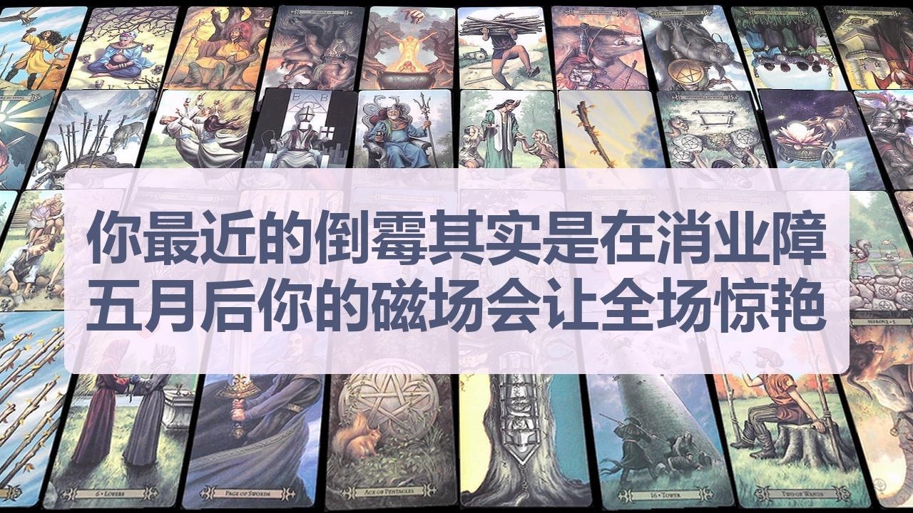 Tarot✨你最近的倒霉其实是在消业障，五月后你的磁场会让全场惊艳