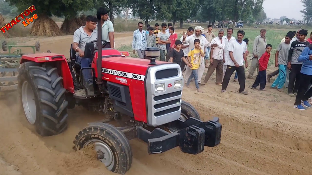 Massey 9500 Good Performance in Kasni (Jahjjar)
