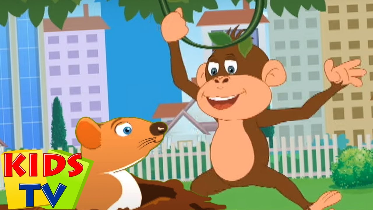 Pop vai a doninha | Musica para bebes | Animação | Kids Tv em Português | Canção infantil