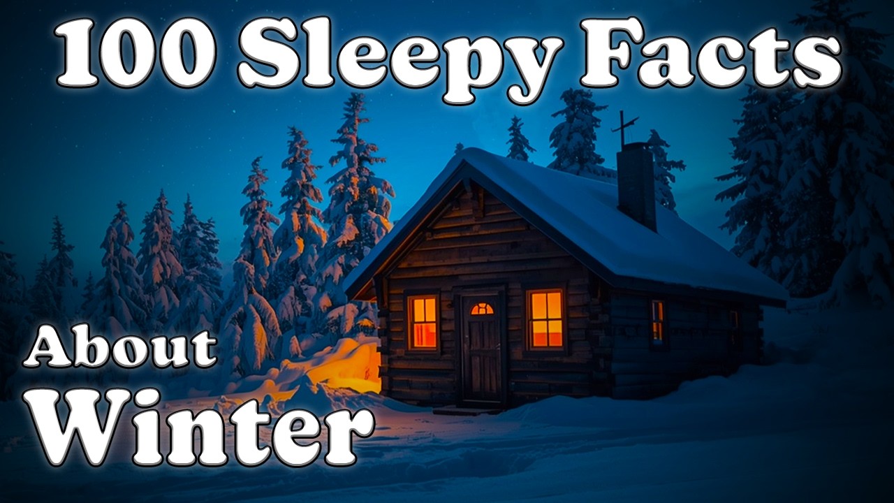 The Most Relaxing Winter Facts to Fall Asleep To