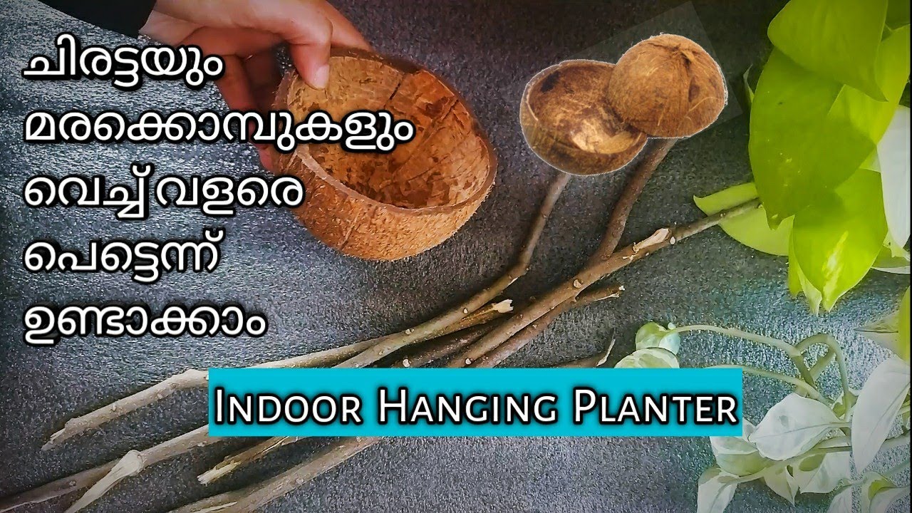 Coconut shell planter DIY | Planter making with coconut shell and tree branches | Hanging planter