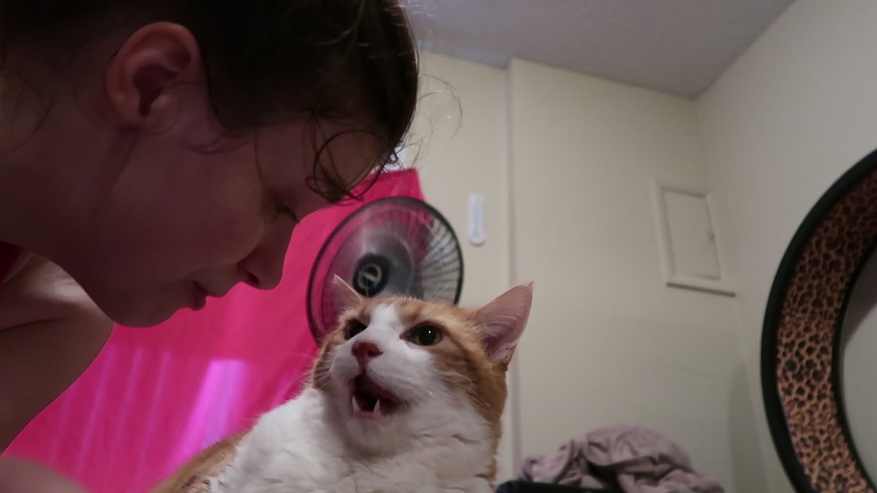 Butters licks my face off