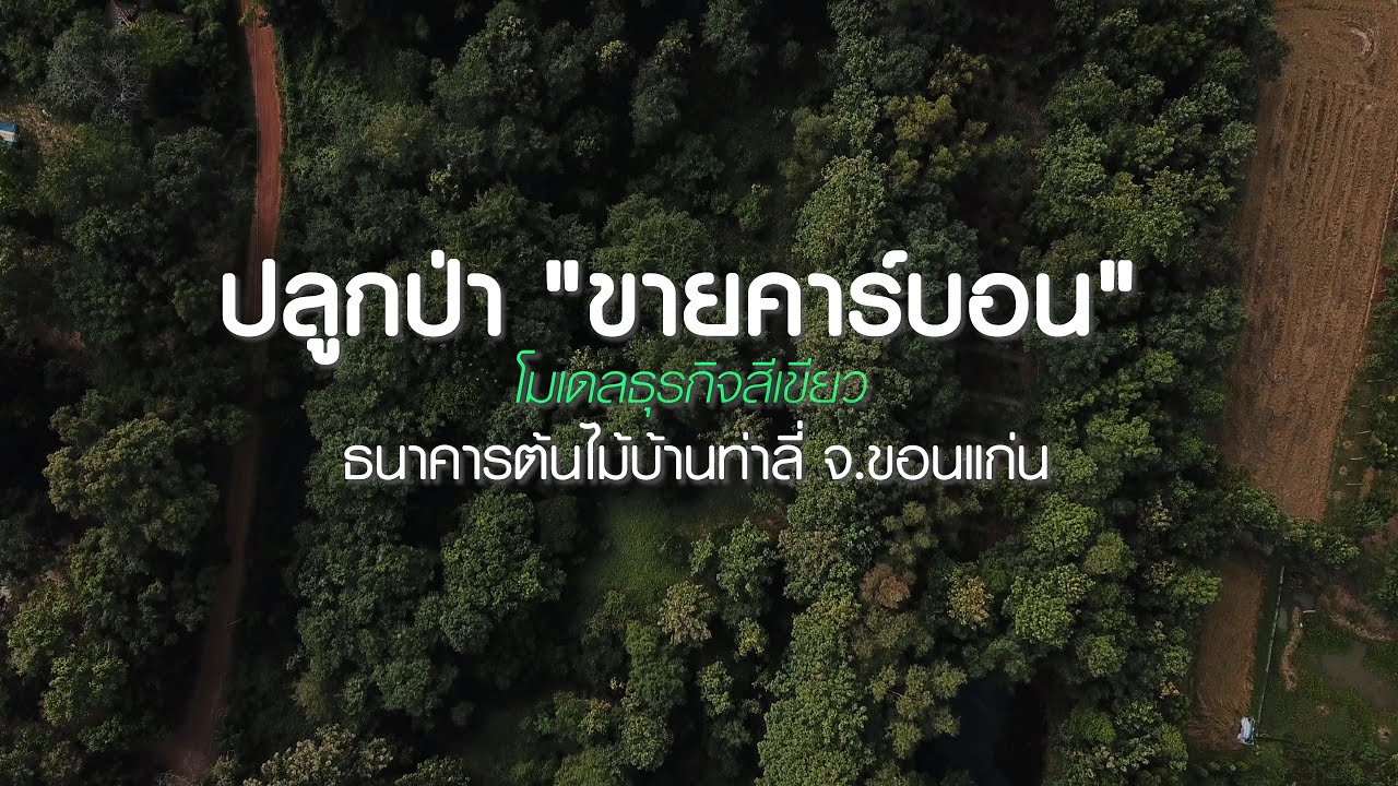 ปลูกป่าขาย “คาร์บอน” โมเดลธุรกิจสีเขียว กำไรยั่งยืน | เดลินิวส์ 02/12/67