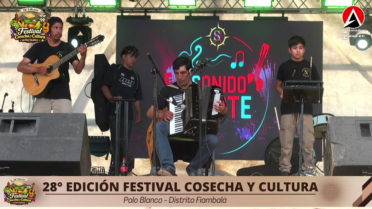 28°  EDICION FESTIVAL 