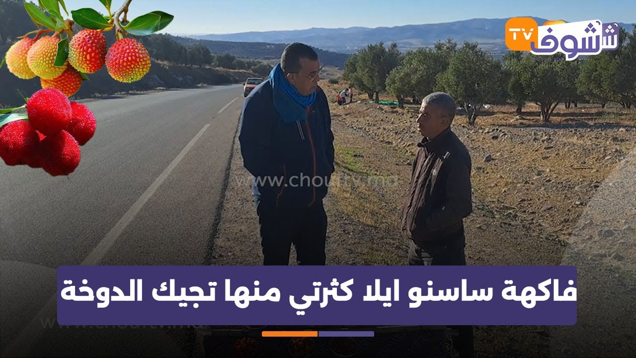 شوف تيفي لقات فاكهة &rsquo;&rsquo;ساسنو&lsquo;&lsquo; وتتواجد فقط في نواحي تازة وإيلا كثرتي منها تجيك الدوخة