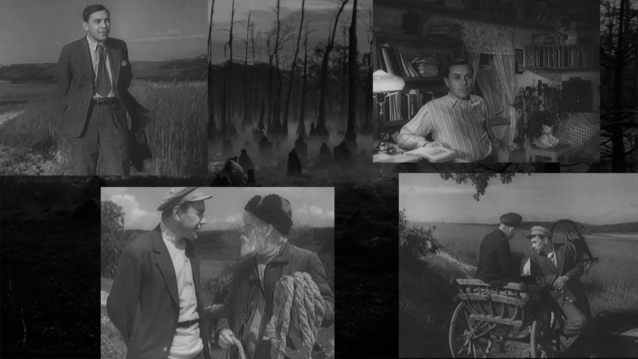 Чертово кладбище.  Свидетели аномалии.