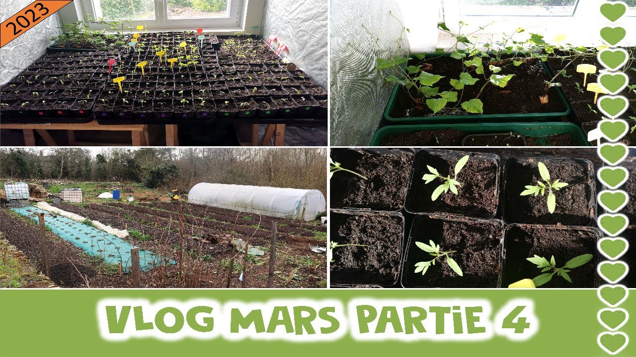 VLOG MARS 2023 partie 4 : Repiquage