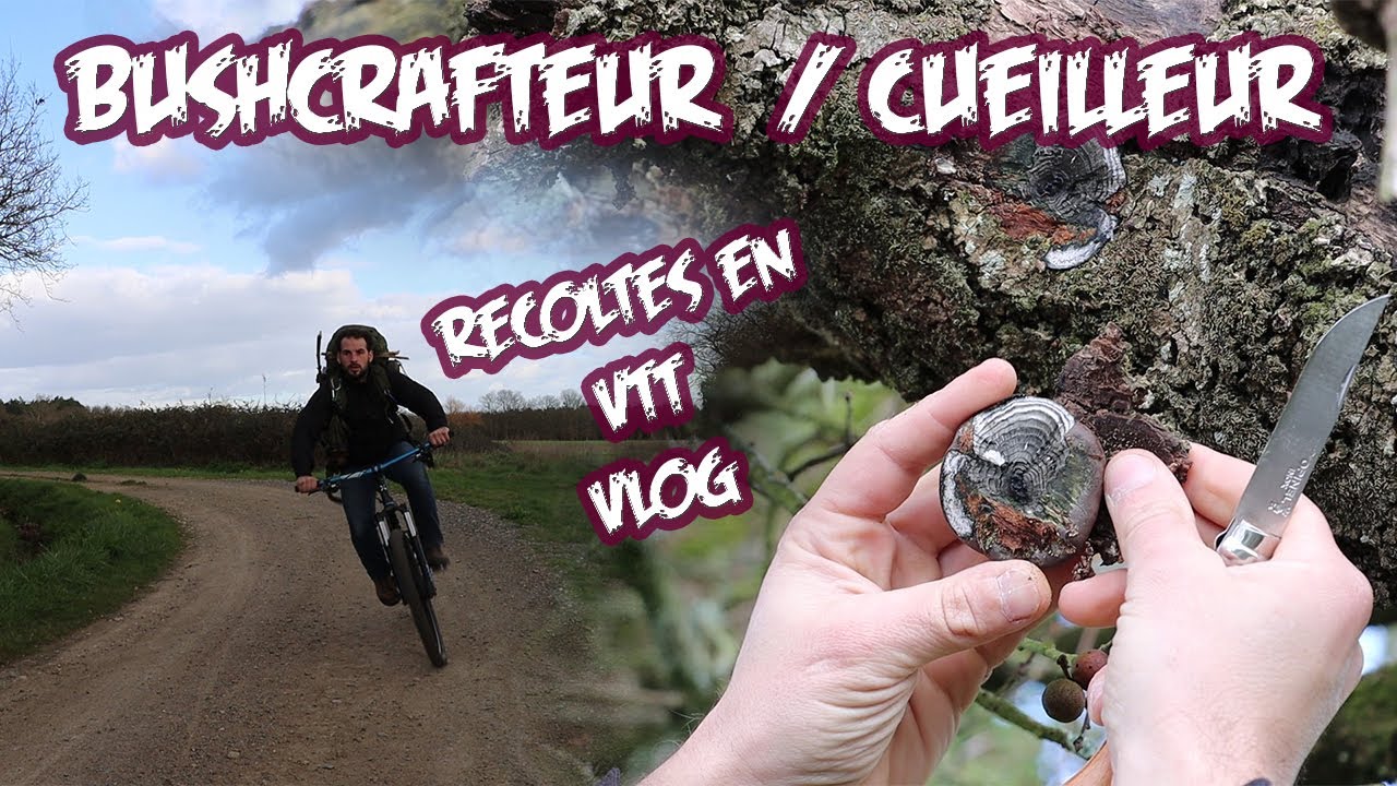 🧭🤠 Je vous emmène en VTT pour une sortie de Bushcrafteur / Cueilleur! Vlog