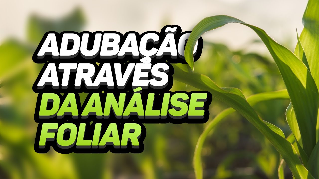 ADUBAÇÃO ATRÁVES DA ANÁLISE FOLIAR