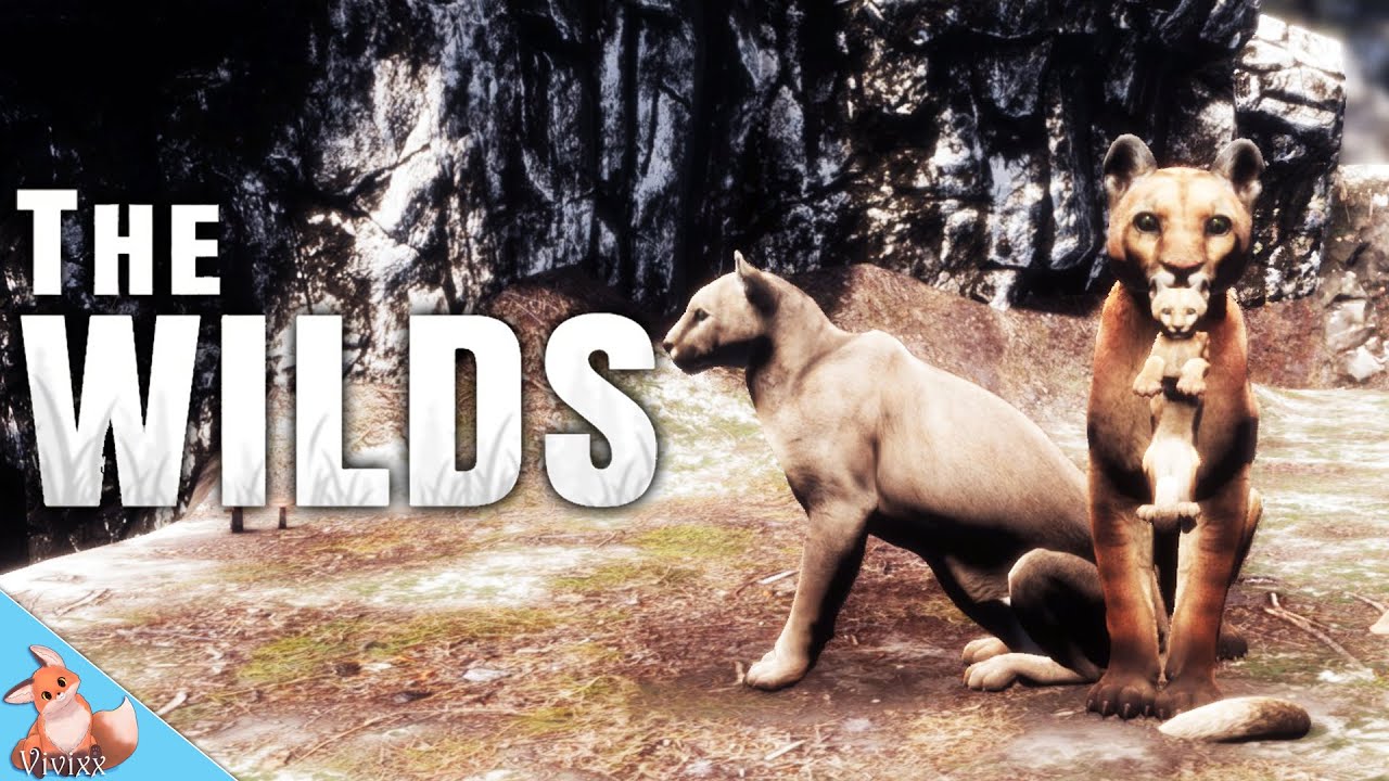 Трагедия и розыгрыш призов в The Wilds