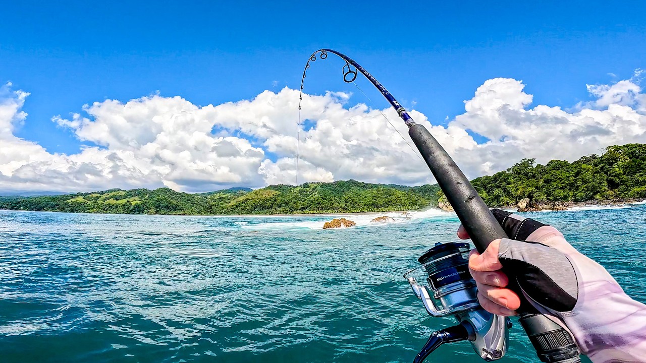 Fishing for Reef GIANTS on Uninhabited Jungle Coast (Catch & Cook)