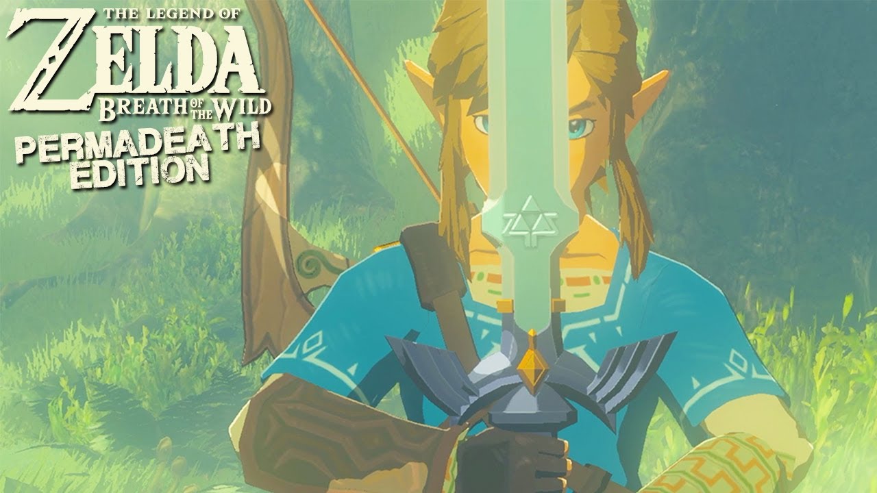 THE MASTER SWORD: Breath of the Wild Permadeath Edition