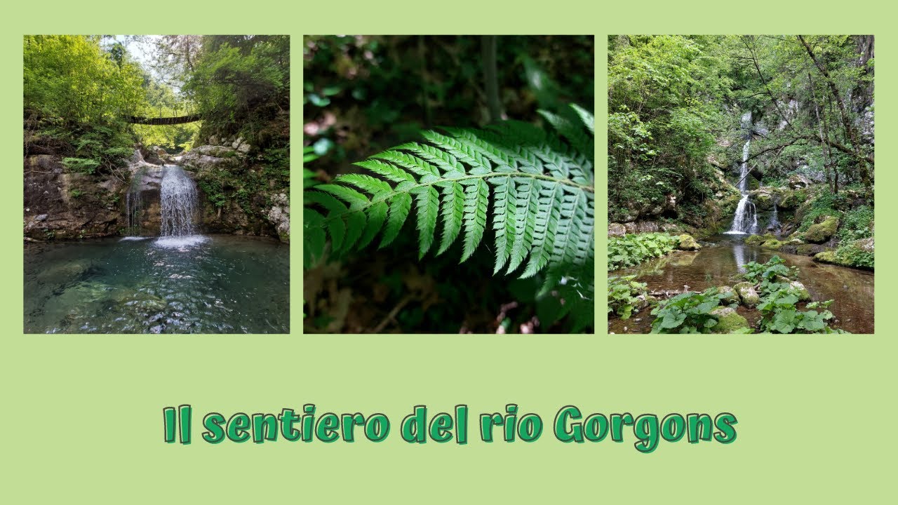 Il sentiero del rio Gorgons, Taipana