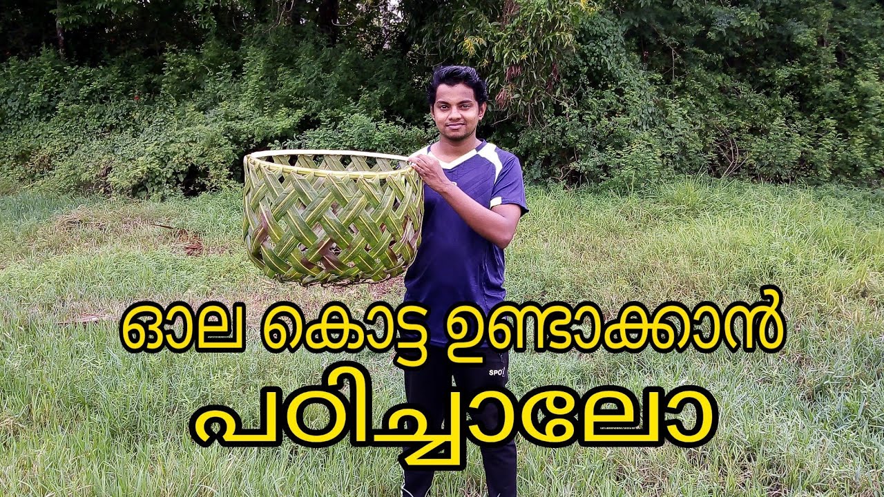 Basket From Coconut Palm Leaves